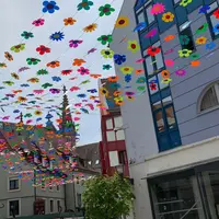 Un été sous un ciel fleuri à la Cour des Maréchaux à Mulhouse DR