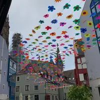Un été sous un ciel fleuri à la Cour des Maréchaux à Mulhouse DR