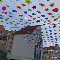 Un été sous un ciel fleuri à la Cour des Maréchaux à Mulhouse DR