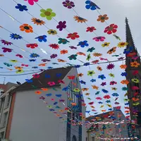 Un été sous un ciel fleuri à la Cour des Maréchaux à Mulhouse DR