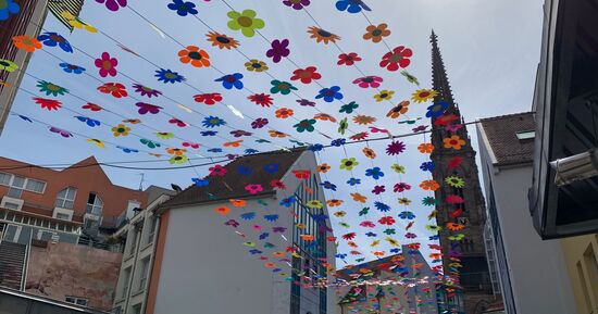 Un &eacute;t&eacute; sous un ciel fleuri &agrave; la Cour des Mar&eacute;chaux &agrave; Mulhouse