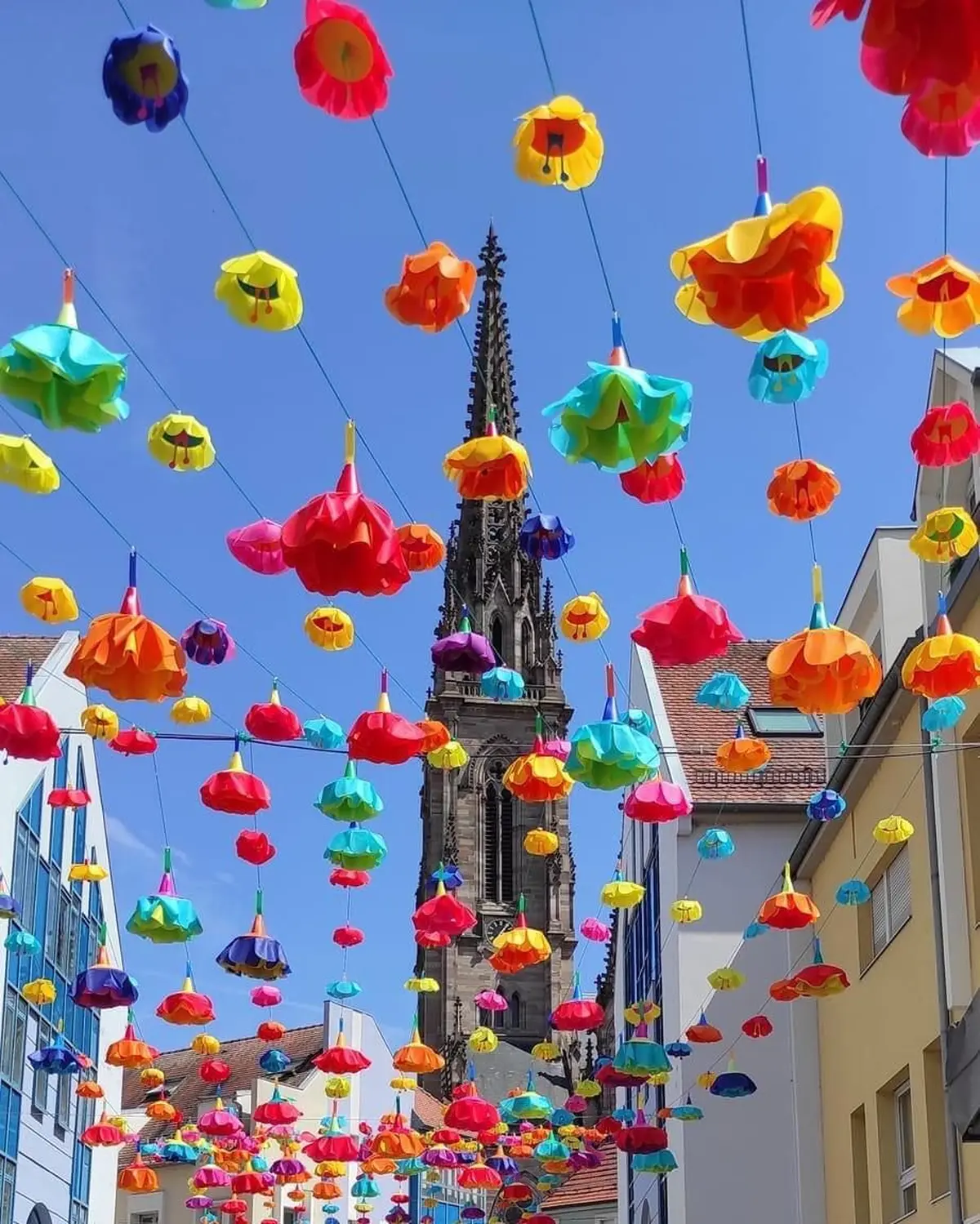 Un été sous un ciel fleuri à la Cour des Maréchaux à Mulhouse