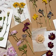 Un herbier à faire en famille