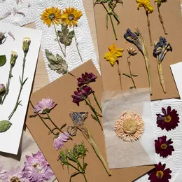 Un herbier à faire en famille