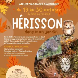 Un hérisson dans mon jardin