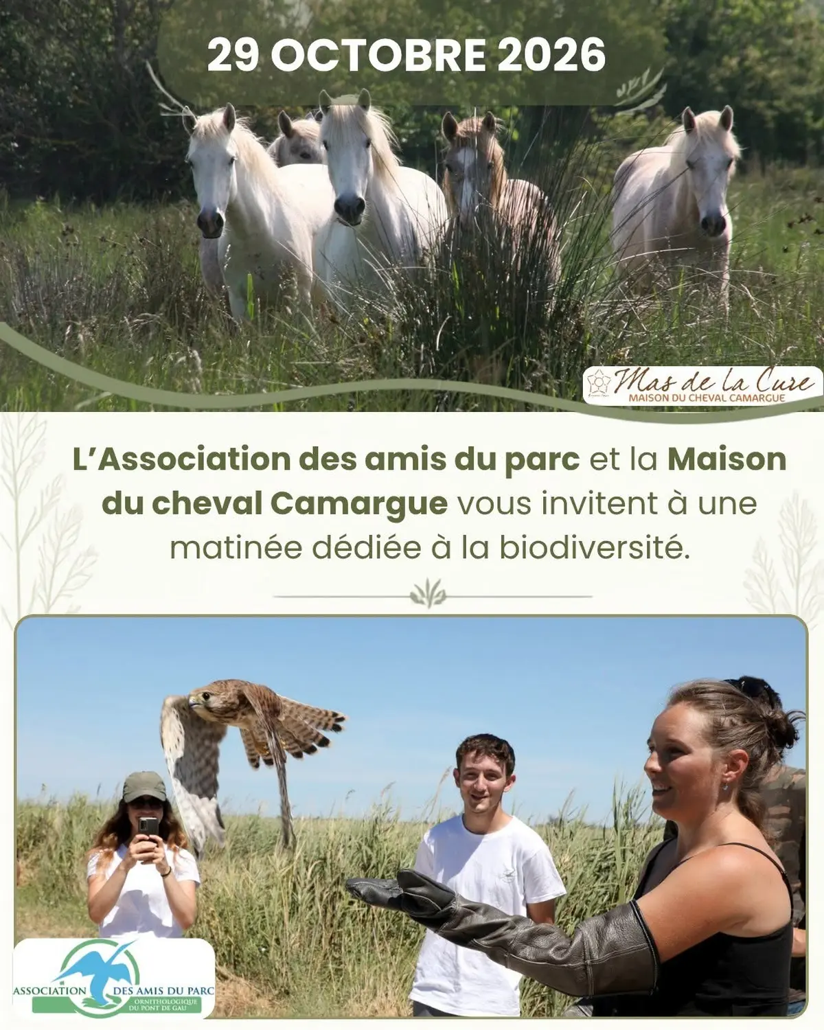 Un instant suspendu en Terre Camargue