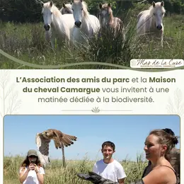 Un instant suspendu en Terre Camargue