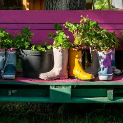 Un jardin à la médiathèque