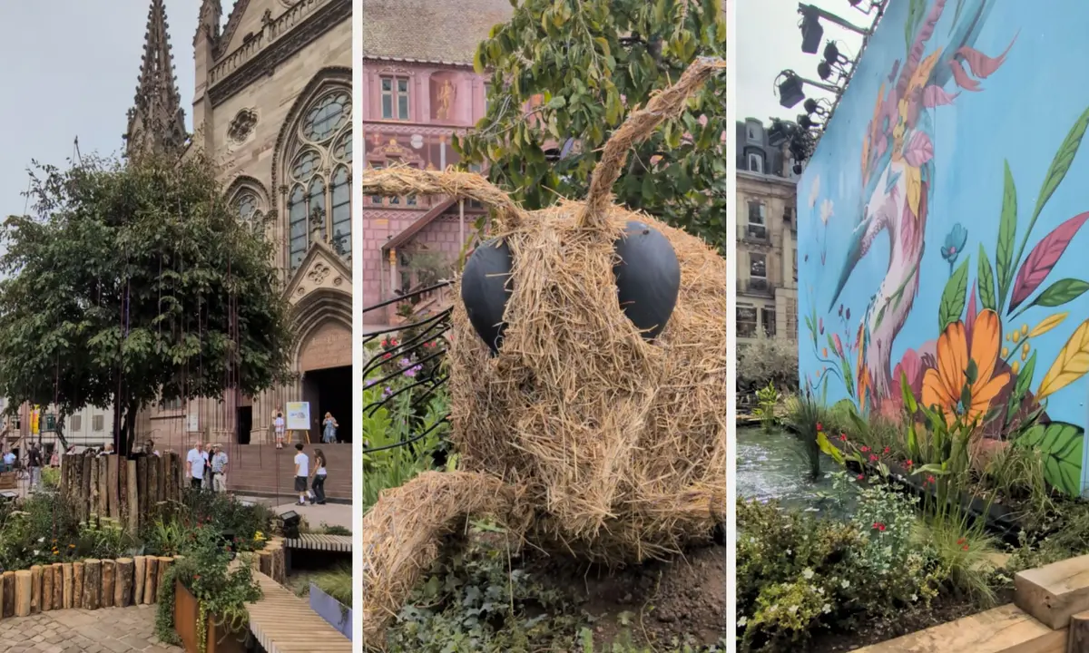 Un jardin éphémère place de la Réunion à Mulhouse, aux couleurs de Folie'Flore
