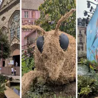 Un jardin éphémère place de la Réunion à Mulhouse, aux couleurs de Folie'Flore DR