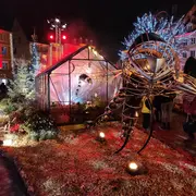 Noël 2020 dans les rues de Mulhouse 