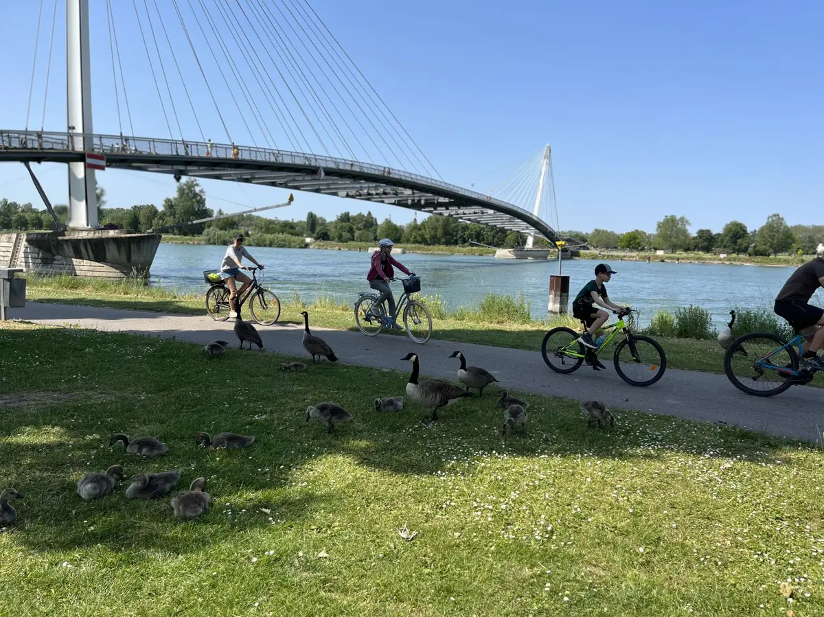 Un jeu gratuit pour découvrir Les Trésors du Rhin