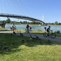 Un jeu gratuit pour découvrir Les Trésors du Rhin DR
