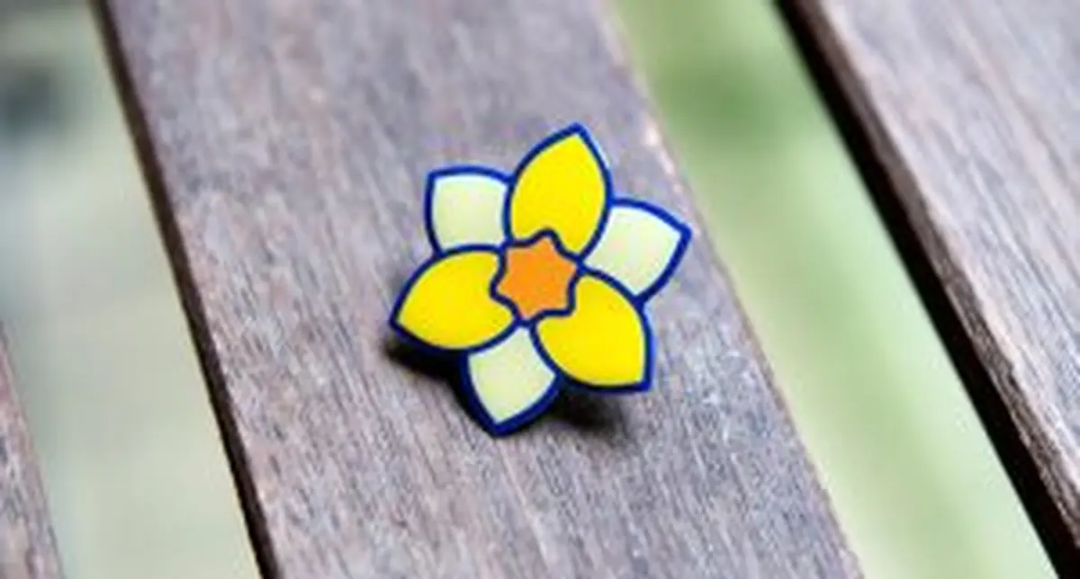 Un jonquille contre le cancer