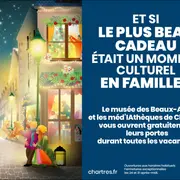 Un Noël culturel : le musée des Beaux-Arts vous ouvre ses portes gratuitement