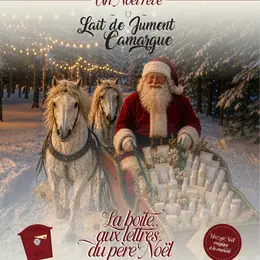 Un noël rêvé
