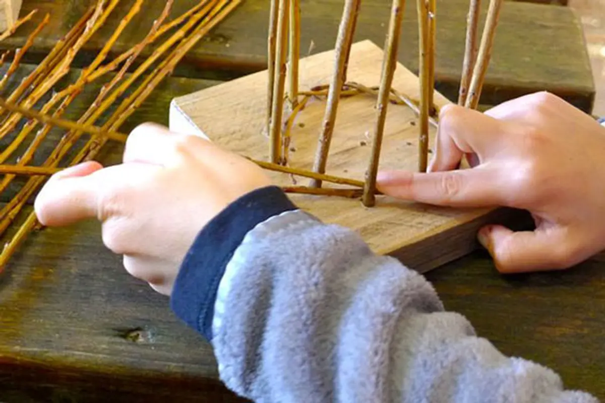 Un panier, comment ça pousse ? Avec Plume et Brin d’Osier