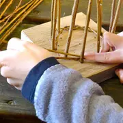 Un panier, comment ça pousse ? Avec Plume et Brin d’Osier