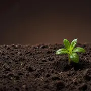 Un petit mot à planter