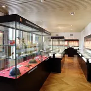 Un Peuple Pas Si Minuscule, Les Insectes