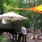 Un piano sous les arbres &copy; France 3 Régions - Franceinfo