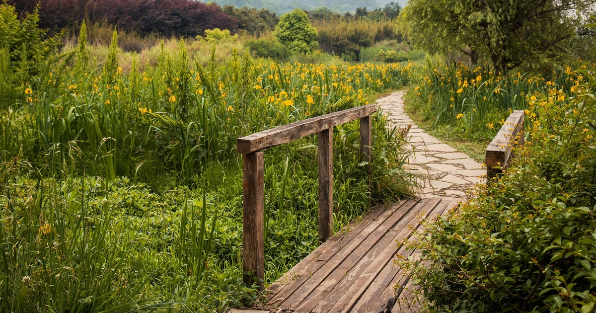 Un pont entre la nature et les Hommes