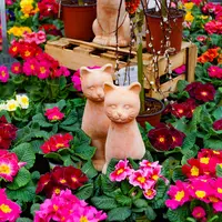 Des primevères pour se mettre dans l'ambiance printanière DR