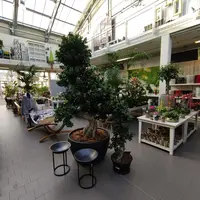 Un large choix de plantes et fleurs DR