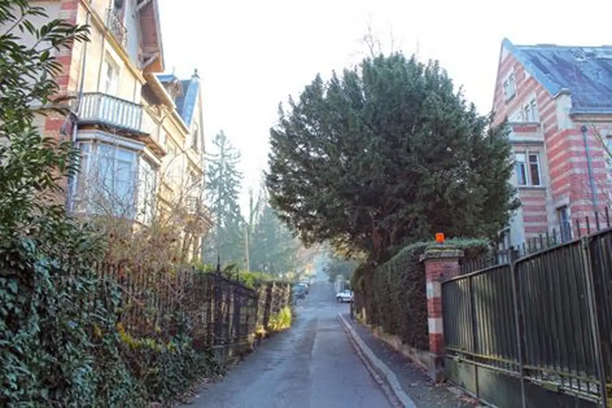 Un quartier très vert