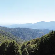 Escapade au Markstein... à gyropode !