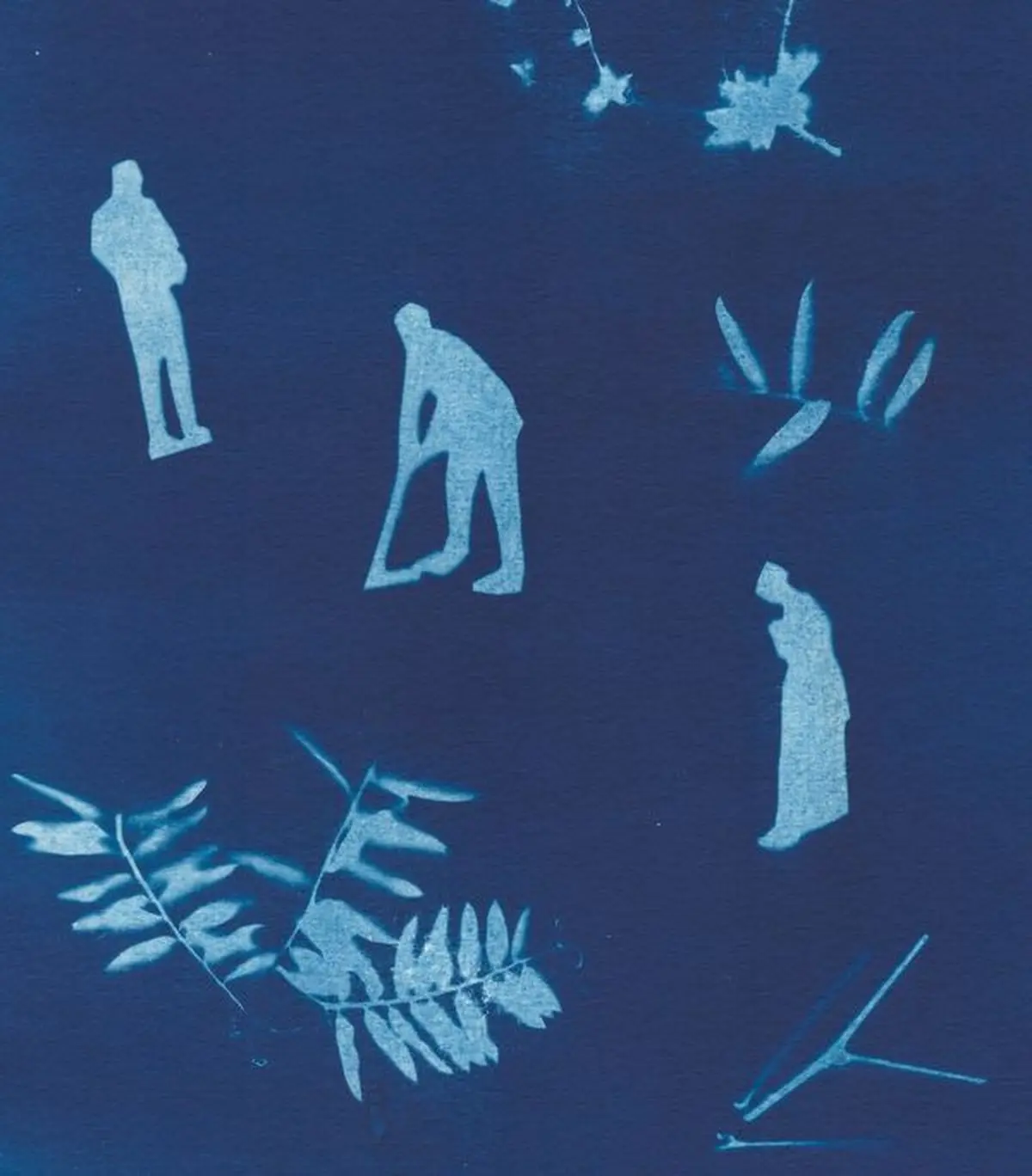 Un samedi chez Millet : atelier cyanotype (ados et adultes)