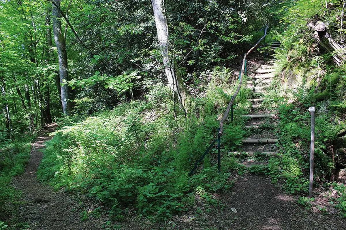 Un sentier botanique