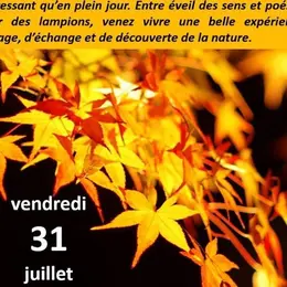 Un soir aux jardins oubliés