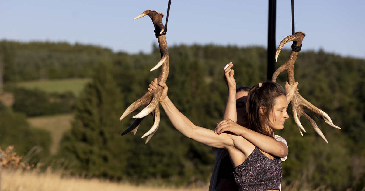 Un spectacle acrobatique et chorégraphique autour de la figure du cerf