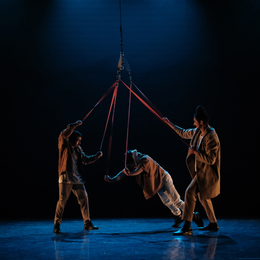 Un spectacle de sangles aériennes sous chapiteau