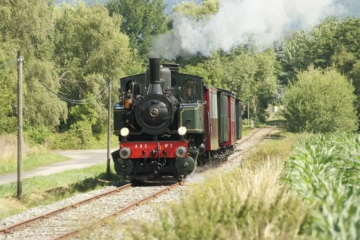 Un tour en train à vapeur 