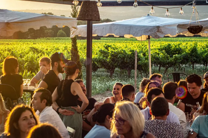 Un verre de vin dans les vignes