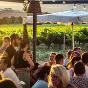 Un verre de vin dans les vignes