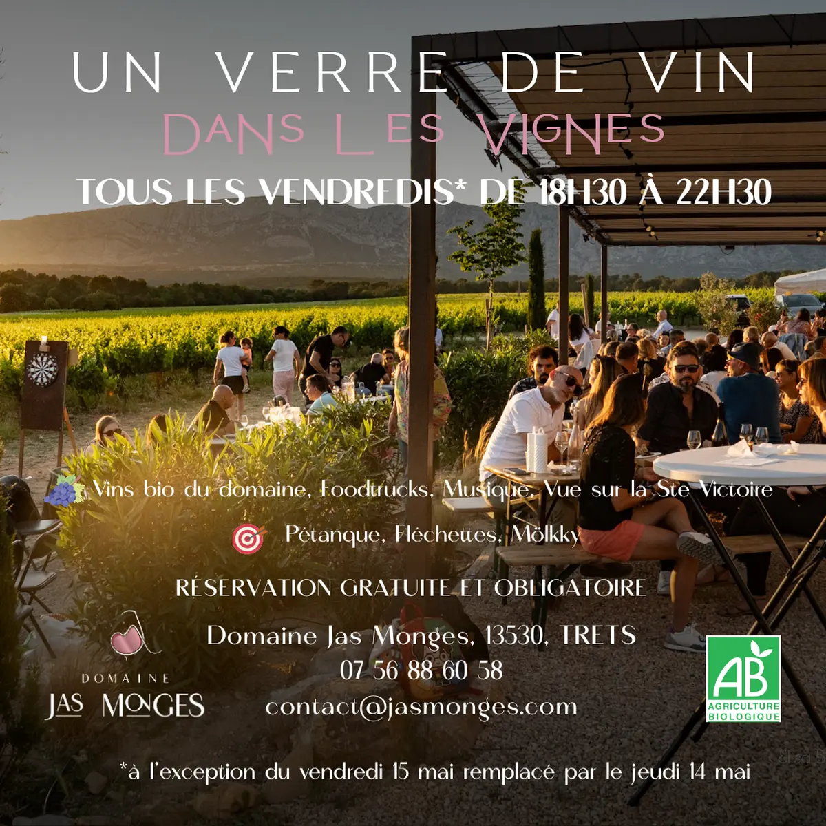 Un verre de vin dans les vignes