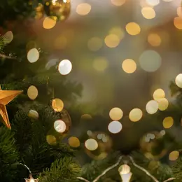 Un Village de Noël à la Toison d'Or à Dijon pour les fêtes de fin d'année 2026