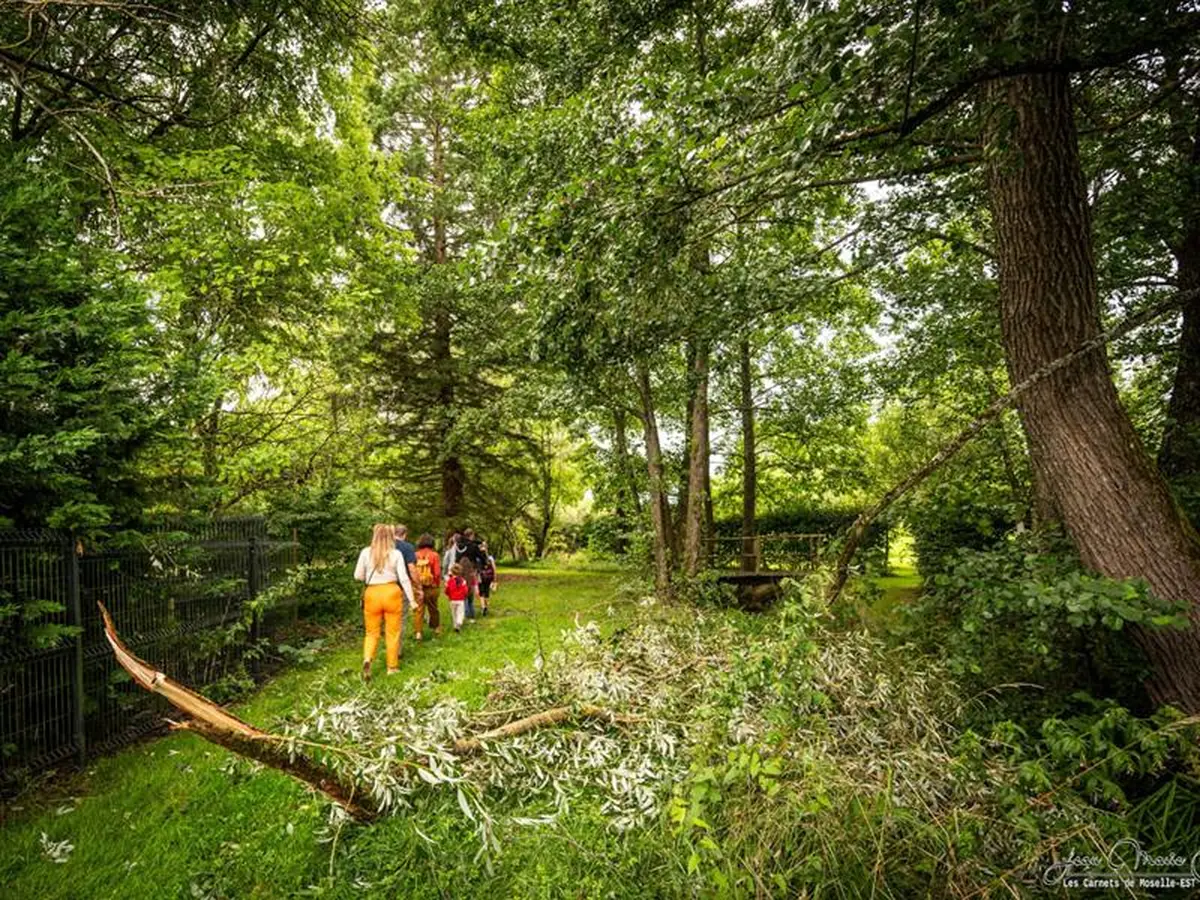 Un voyage conté au cœur du marais de Valette