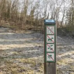Un voyage dans le temps en pleine nature : l'histoire de la Réserve de Bois-en-Val