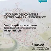 Une Capitale Antique Au Coeur Des Pyrénées : Lugdunum Des Convenes
