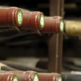 Une cave à vin décomplexée !