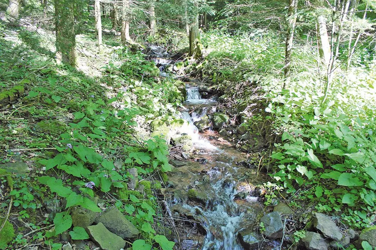 Une eau pure et préservée