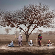 Une exposition de photographies pour mettre en lumière les arbres nourriciers du Sahel