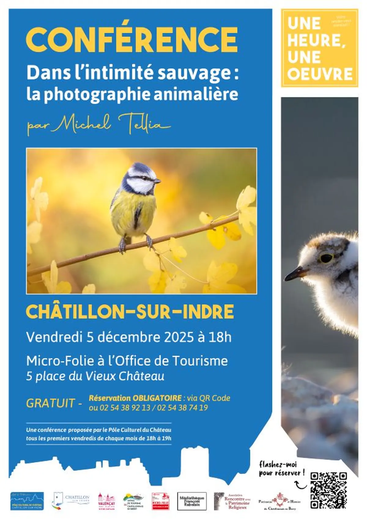 Une heure, Une oeuvre : Dans l'intimité sauvage : la photographie animalière