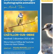 Une heure, Une oeuvre : Dans l'intimité sauvage : la photographie animalière