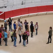 Une journée à votre guise - Arles la romaine