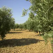 Une journée à votre guise - Journée Alpilles